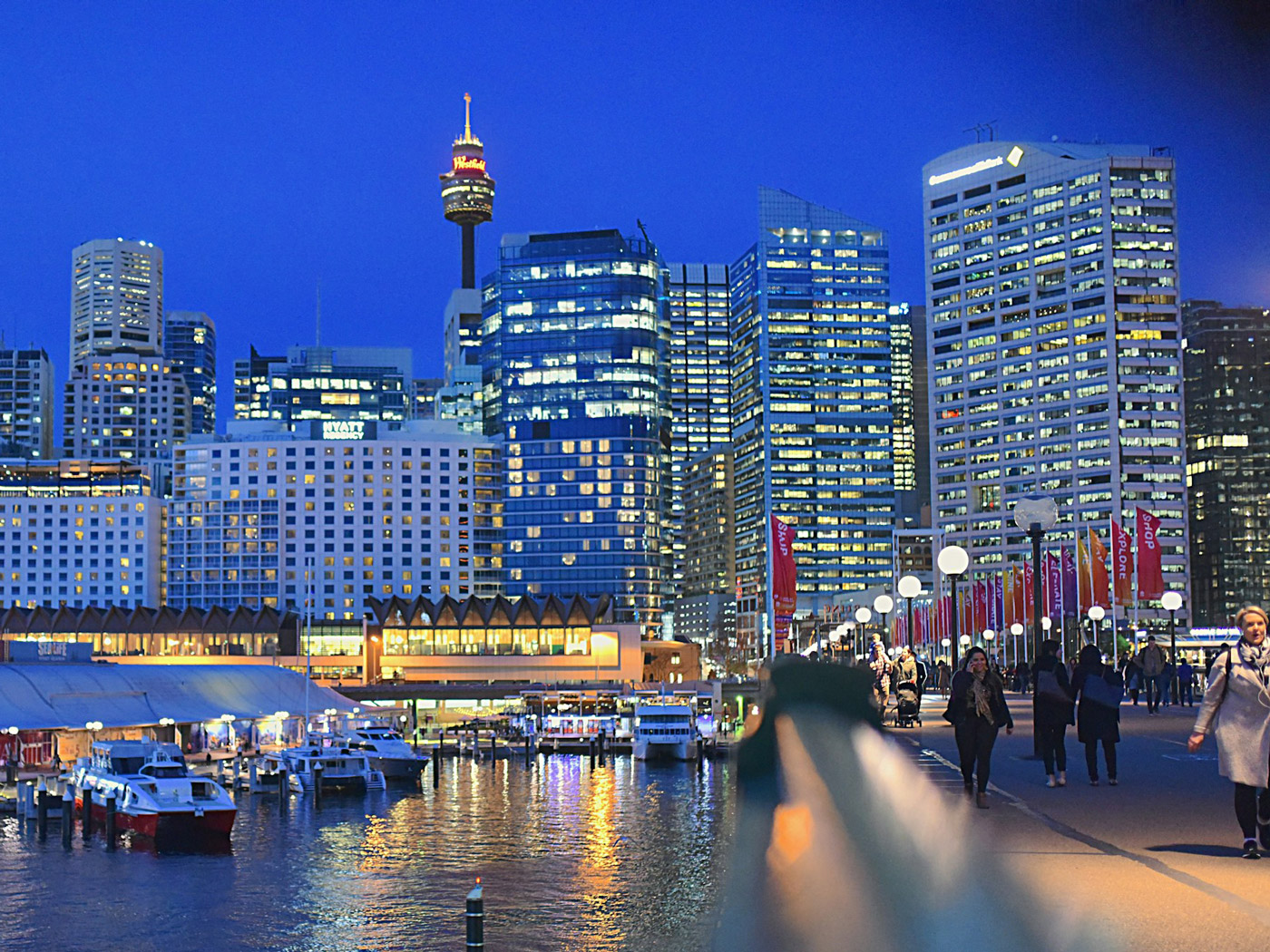 Discover-Auckland Discover Auckland