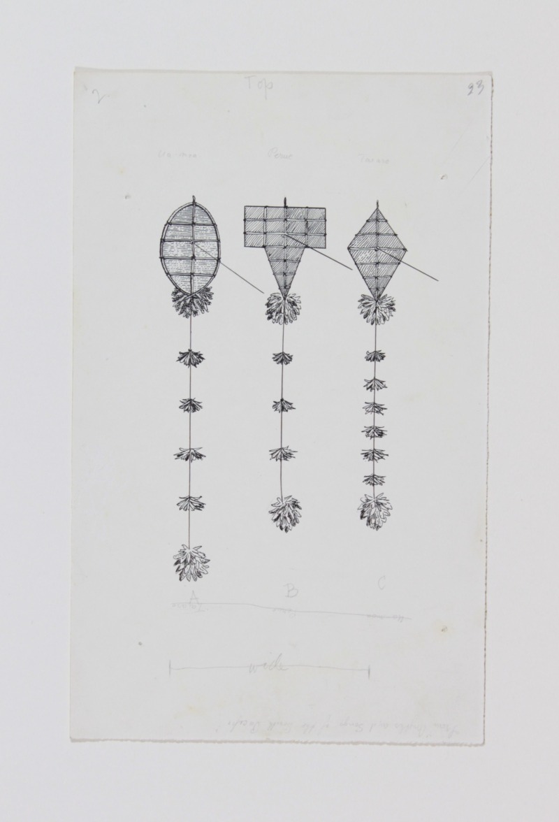 MA_I338337_TePapa_Drawings-of-kites-for_full Manu tukutuku – Māori kites