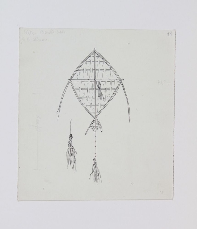 MA_I338341_TePapa_Drawings-of-kites-for_preview Manu tukutuku – Māori kites