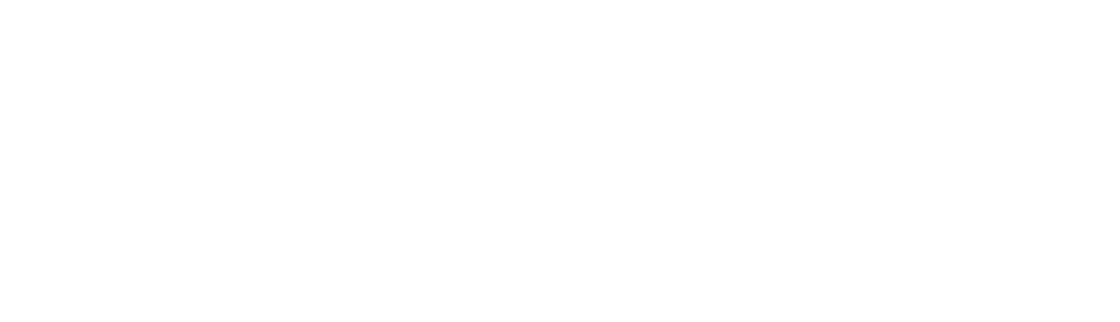 NZ Optics logo